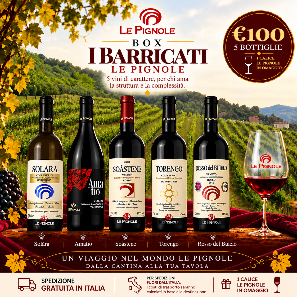 Cantina Le Pignole I Barricati Box 5 Vini Rossi Bianchi Strutturati