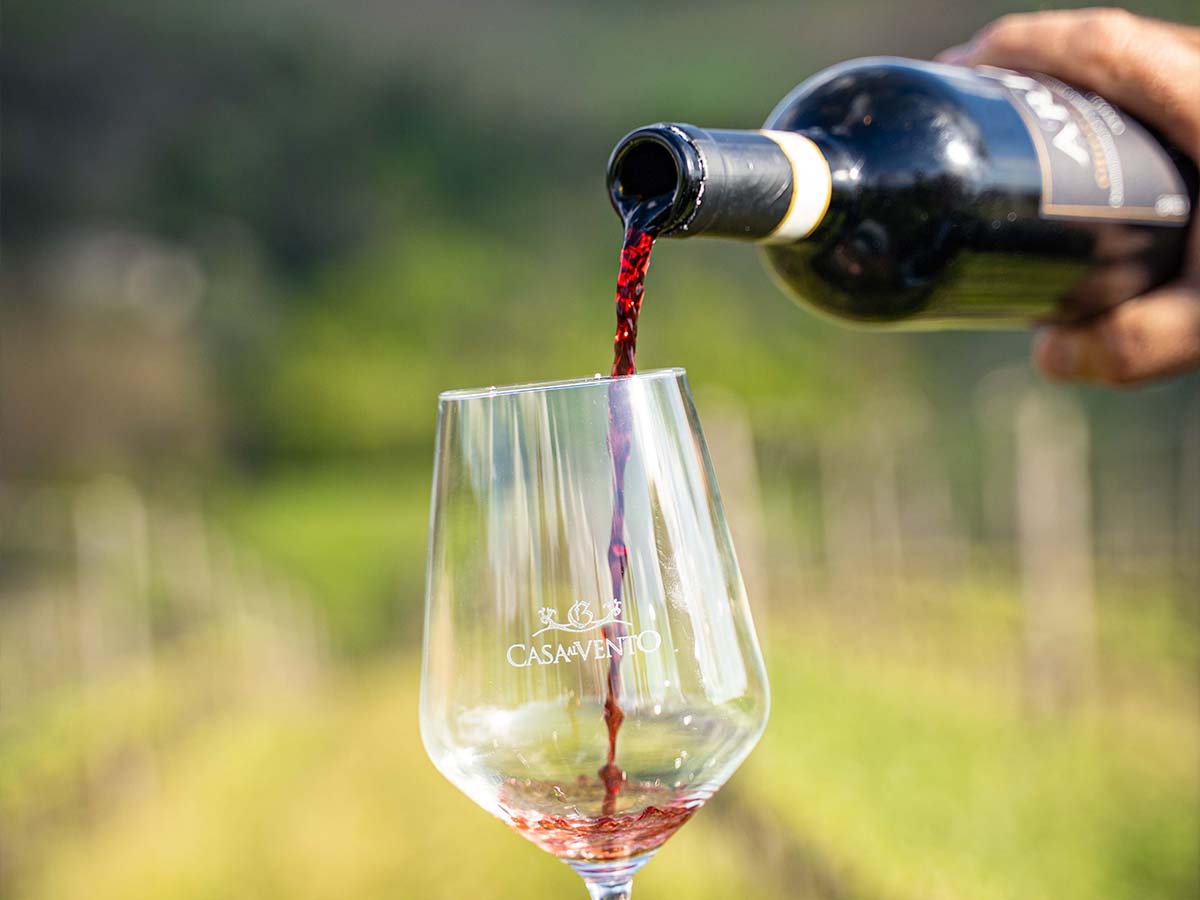 Borgo Casa al Vento Wine Tour Tasting degustazione vini Toscana