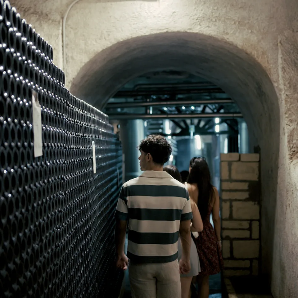 Cantine di Marzo Tour Base visita in cantina 90 minuti 3 vini