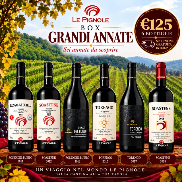Cantina Le Pignole Box Grandi Annate Cofanetto 6 Bottiglie