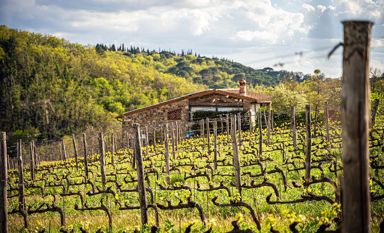 Borgo Casa al Vento Dolce Dormire Suite Soggiorno