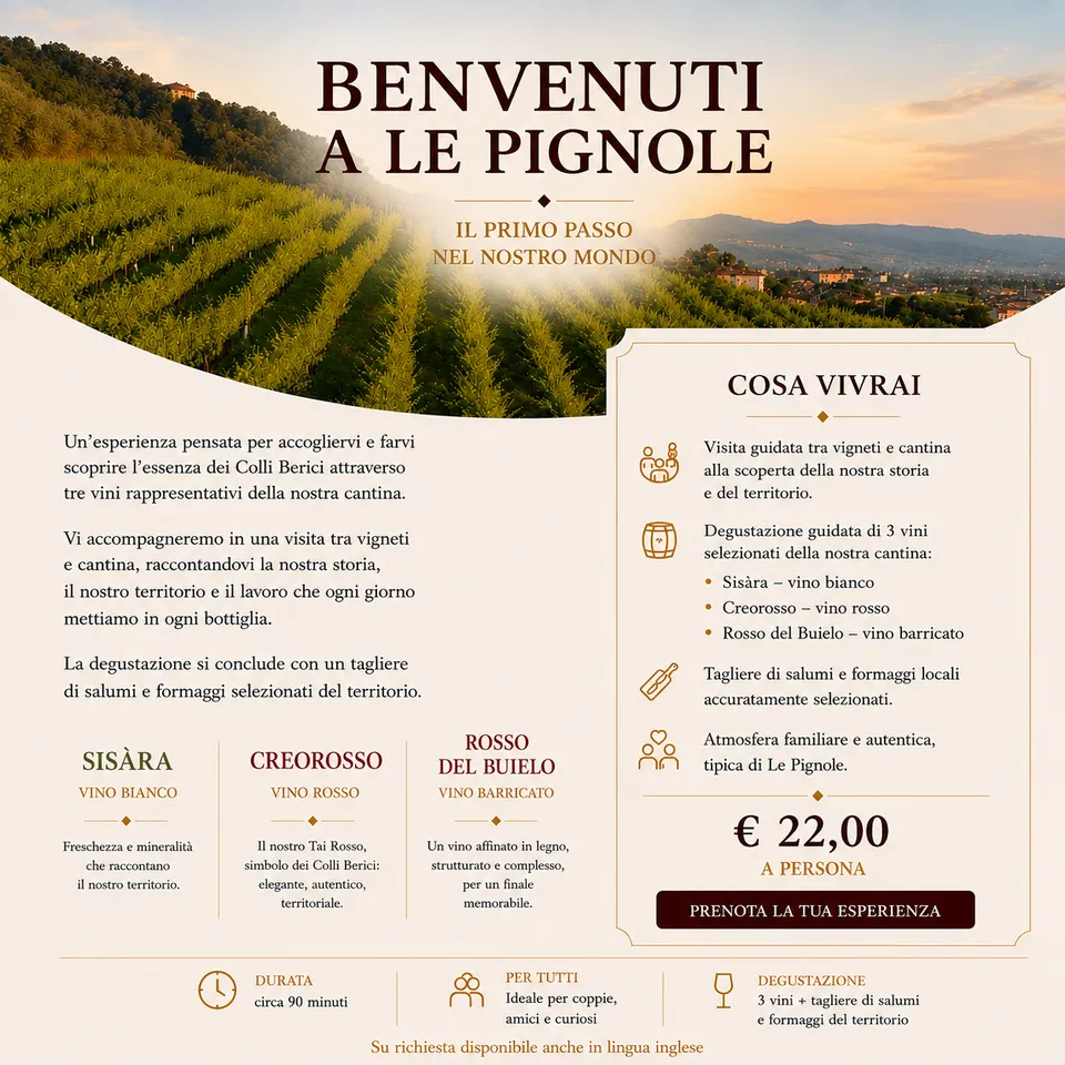 Cantina Le Pignole Welcome to The Pignole esperienza