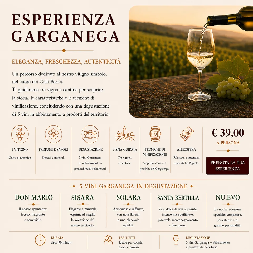 Cantina Le Pignole Garganega degustazione 5 vini