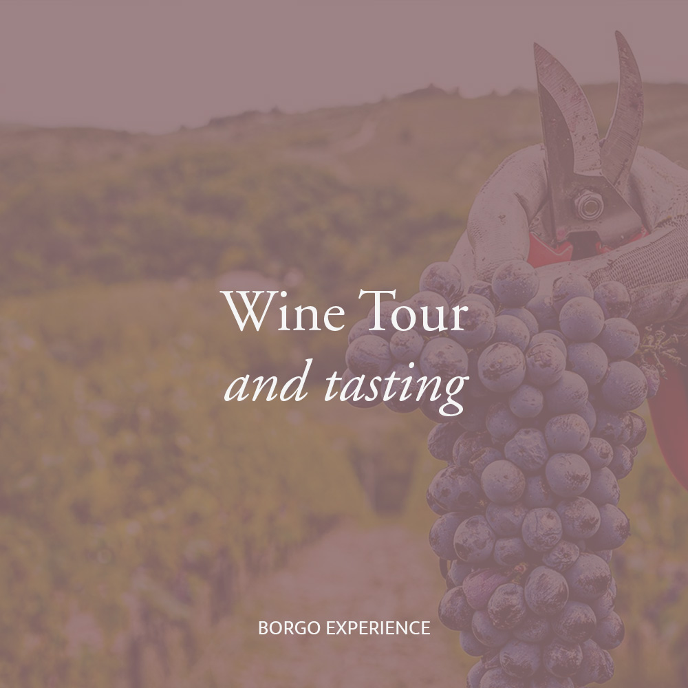Borgo Casa al Vento Wine Tour Tasting degustazione vini Toscana