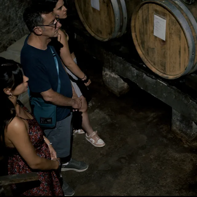 Cantine di Marzo Tour Deluxe visita in cantina con degustazione 6 vini