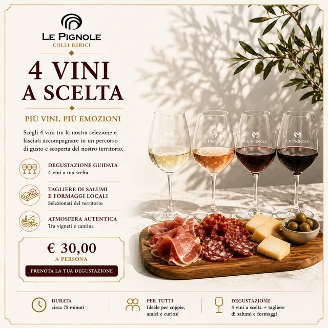 Cantina Le Pignole Tasting 4 calici degustazione vini con tagliere