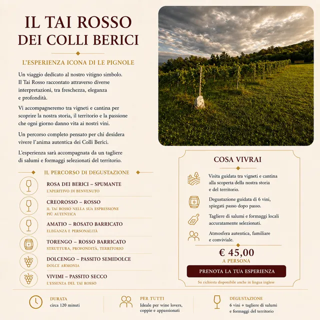 Le Pignole Tai Rosso Experience Degustazione Cantina 6 Vini