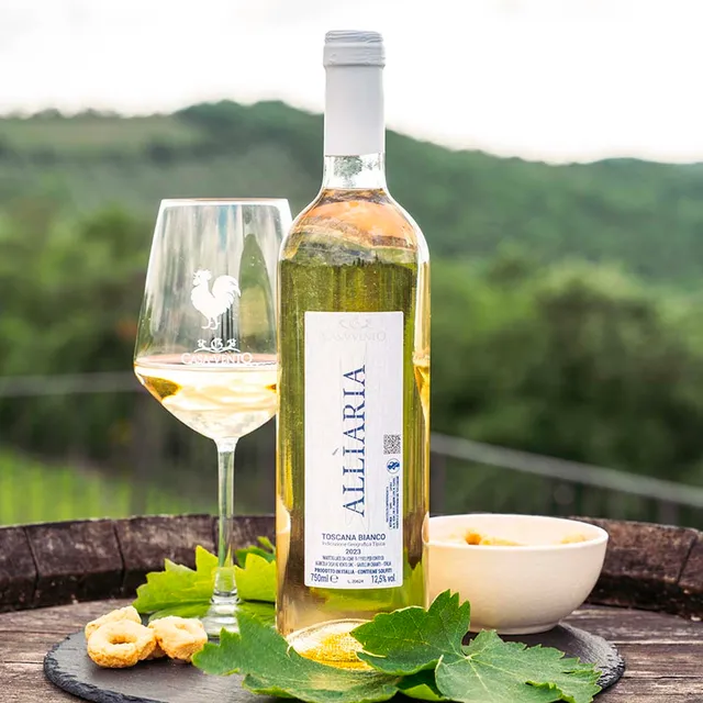 Borgo Casa al Vento ALL’IARIA vino bianco 75cl secco