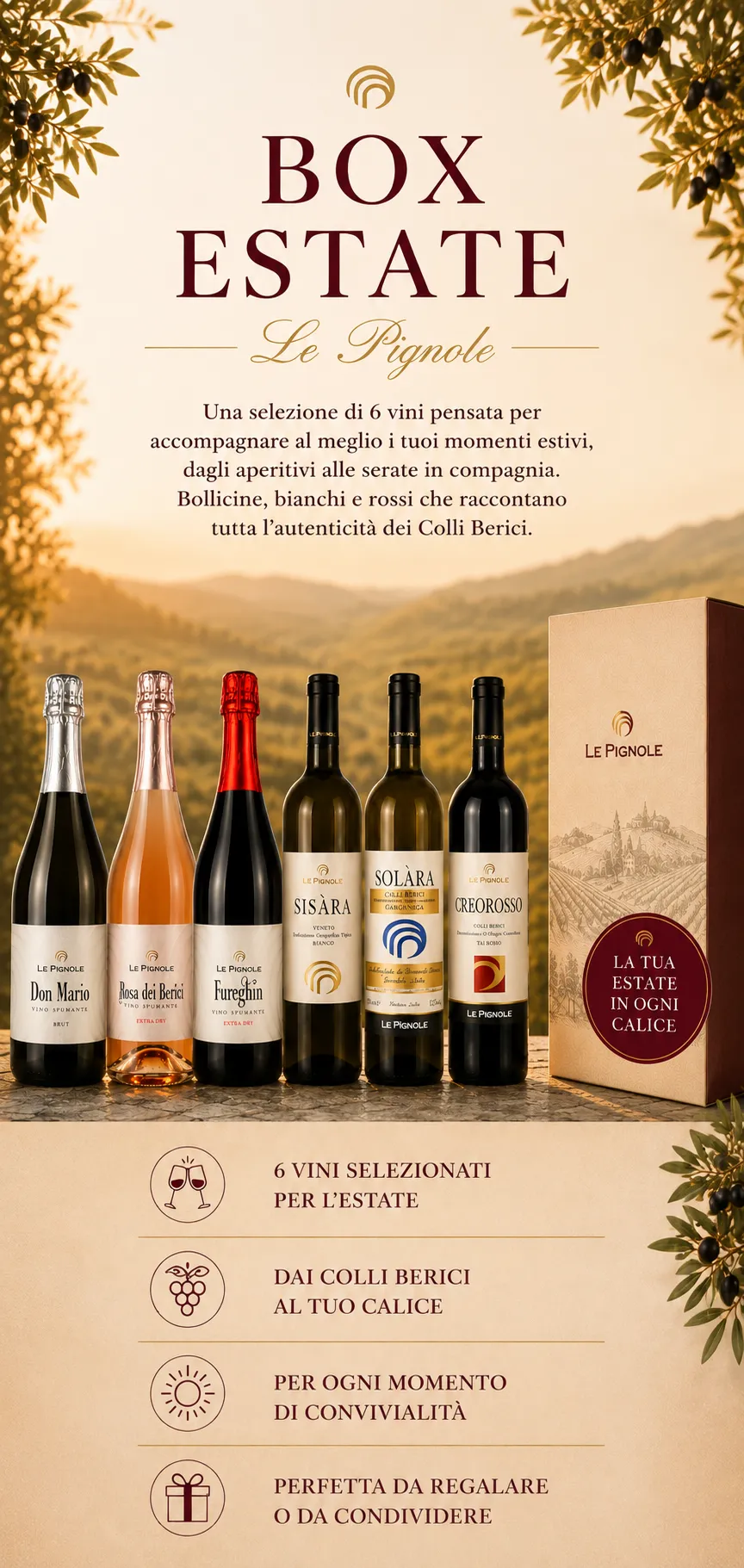 Cantina Le Pignole Box Estate box 6 vini bianchi rossi bollicine