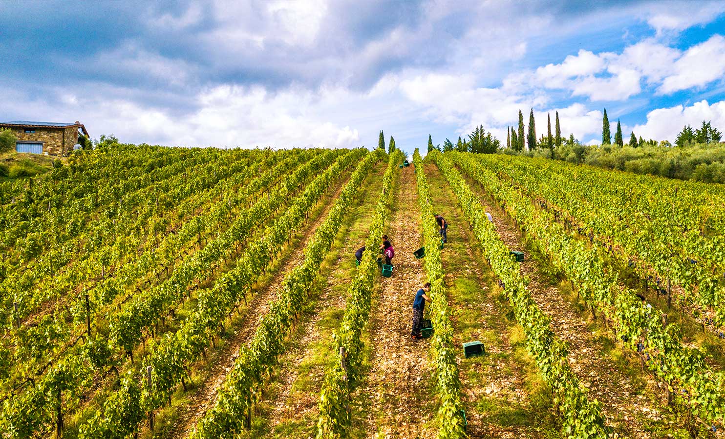 Borgo Casa al Vento Wine Tasting Experience degustazione vini