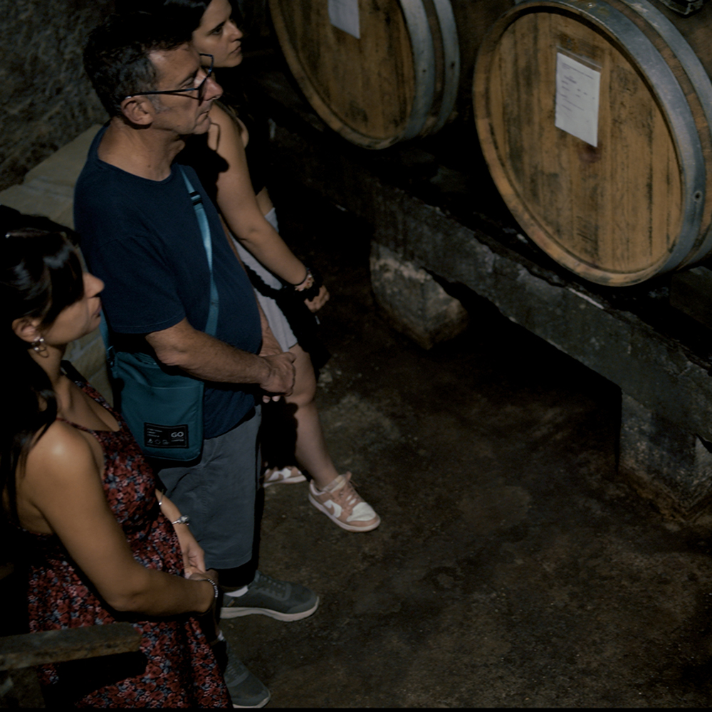 Cantine di Marzo Tour Deluxe visita in cantina con degustazione 6 vini