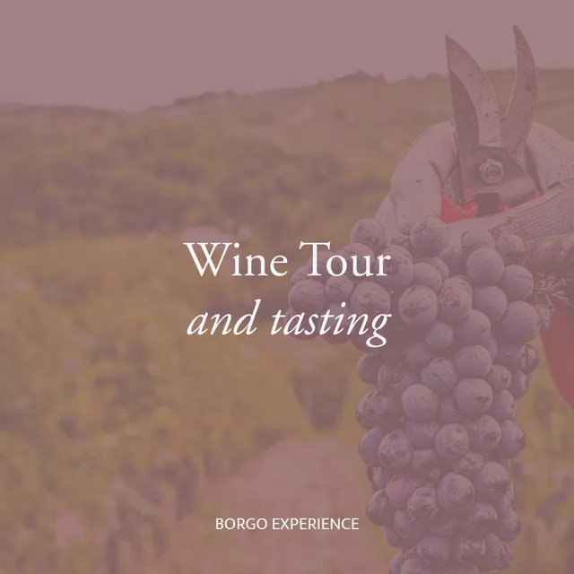 Borgo Casa al Vento Wine Tour Tasting degustazione vini Toscana