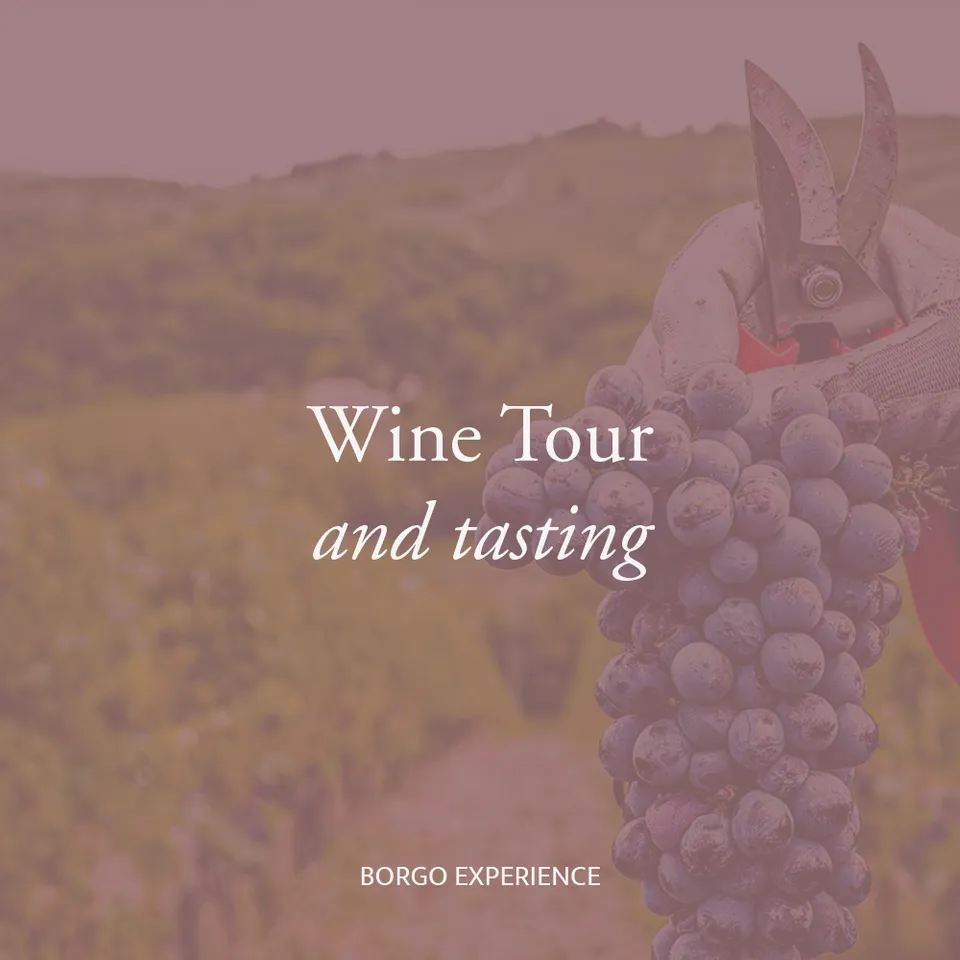 Borgo Casa al Vento Wine Tour Tasting degustazione vini Toscana
