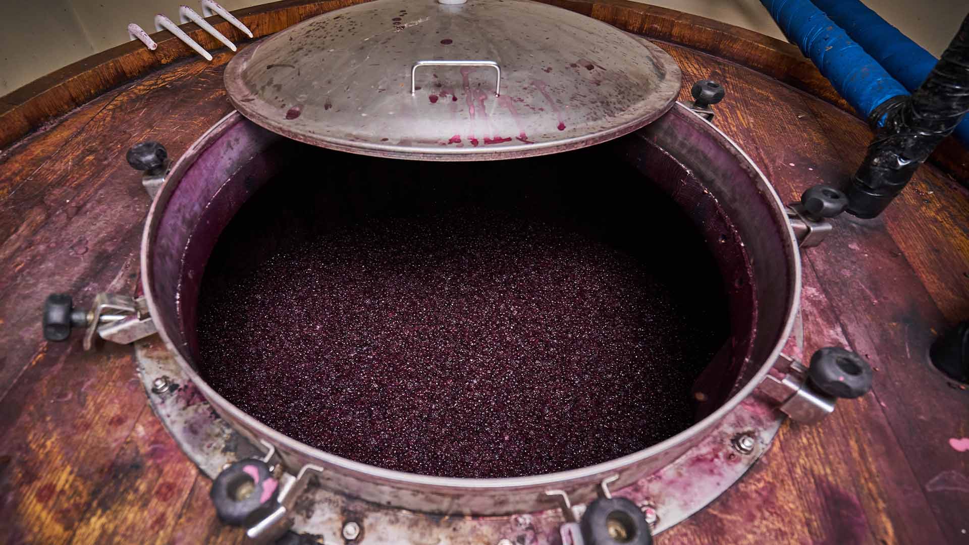 Borgo Casa al Vento Dolce Vita Gusto Divino Esperienza