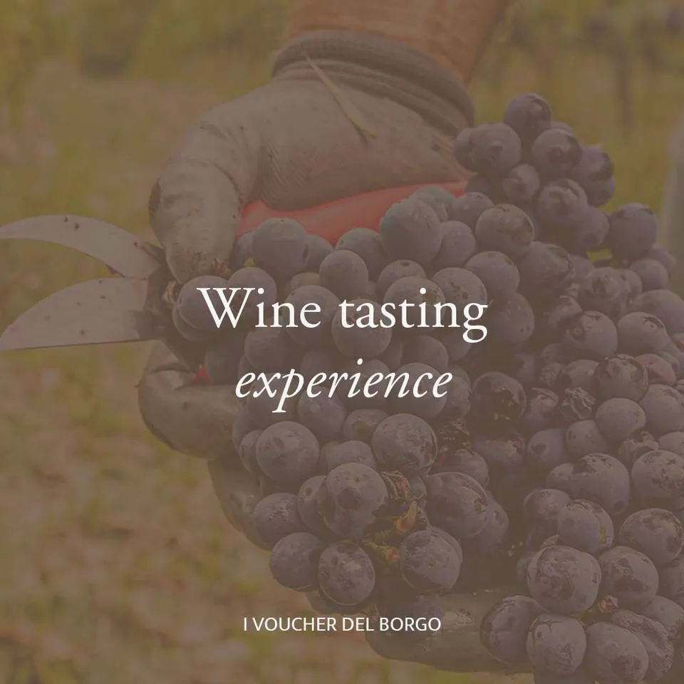 Borgo Casa al Vento Wine Tasting Experience degustazione vini
