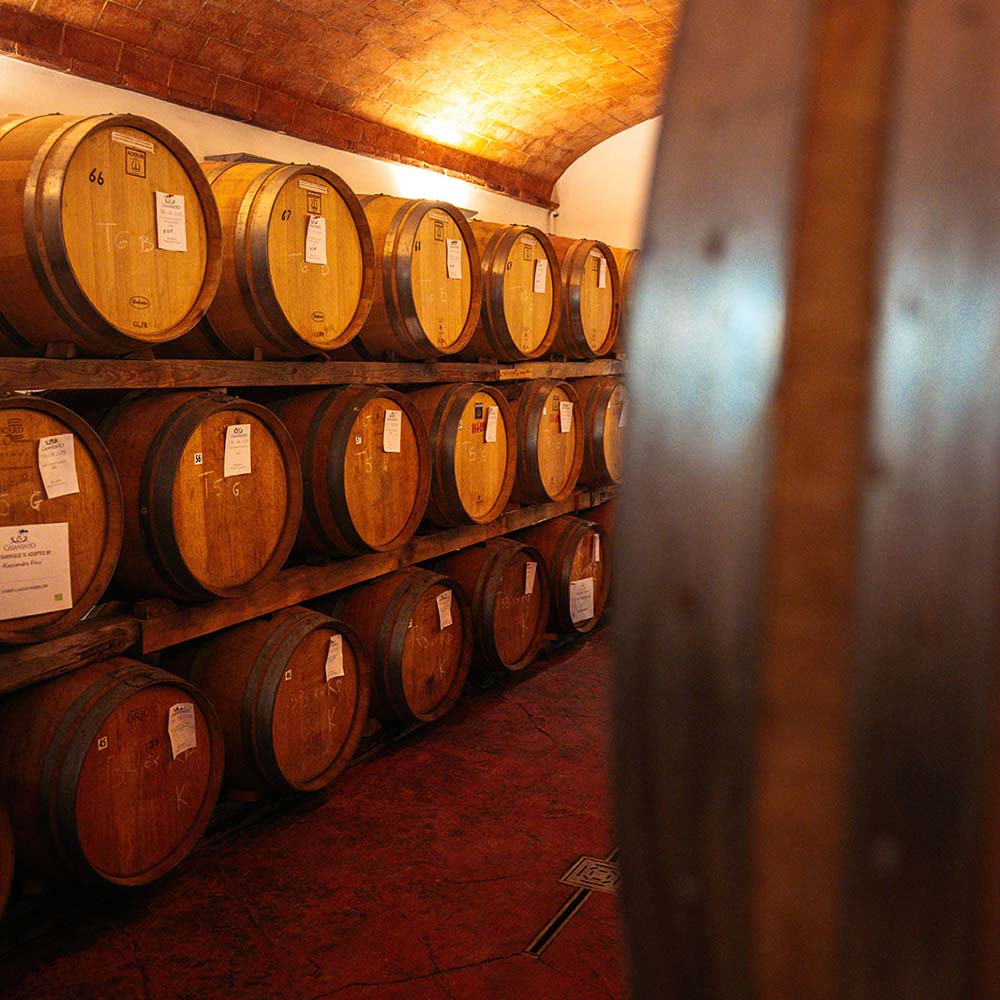 Borgo Casa al Vento Aria vino rosso Sangiovese bio