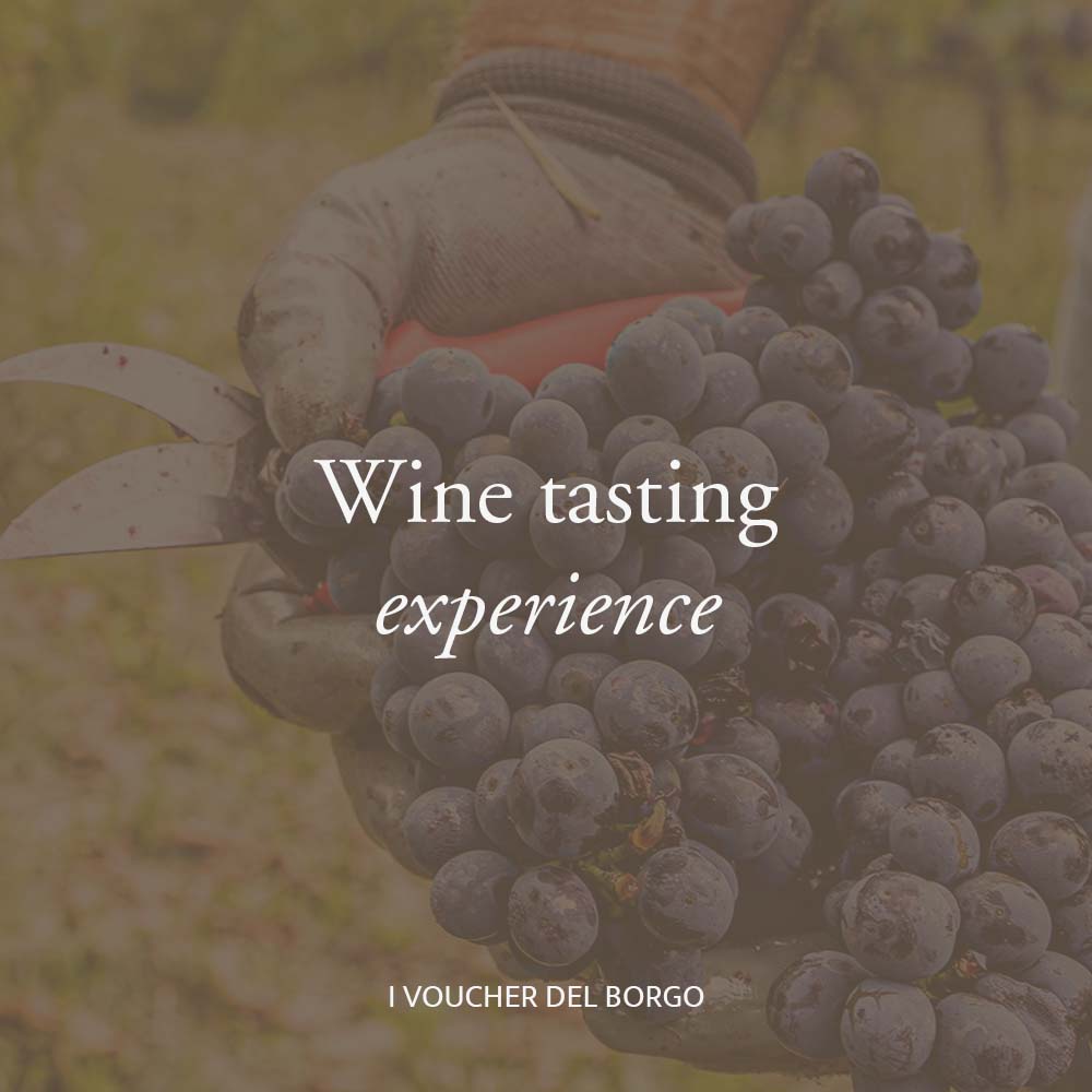 Borgo Casa al Vento Wine Tasting Experience degustazione vini