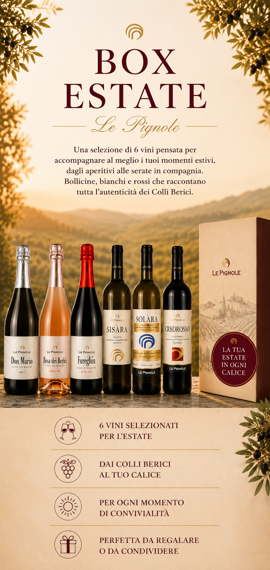 Cantina Le Pignole Box Estate box 6 vini bianchi rossi bollicine
